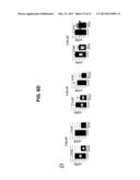 TRANSGENIC MAMMALLS MODIFIED IN BRI PROTEIN EXPRESSION diagram and image