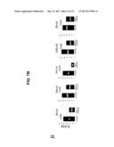 TRANSGENIC MAMMALLS MODIFIED IN BRI PROTEIN EXPRESSION diagram and image