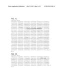 ISOLATED POLYNUCLEOTIDES AND METHODS AND PLANTS USING SAME FOR REGULATING     PLANT ACIDITY diagram and image