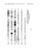 GENES ENCODING NEMATODE TOXINS diagram and image