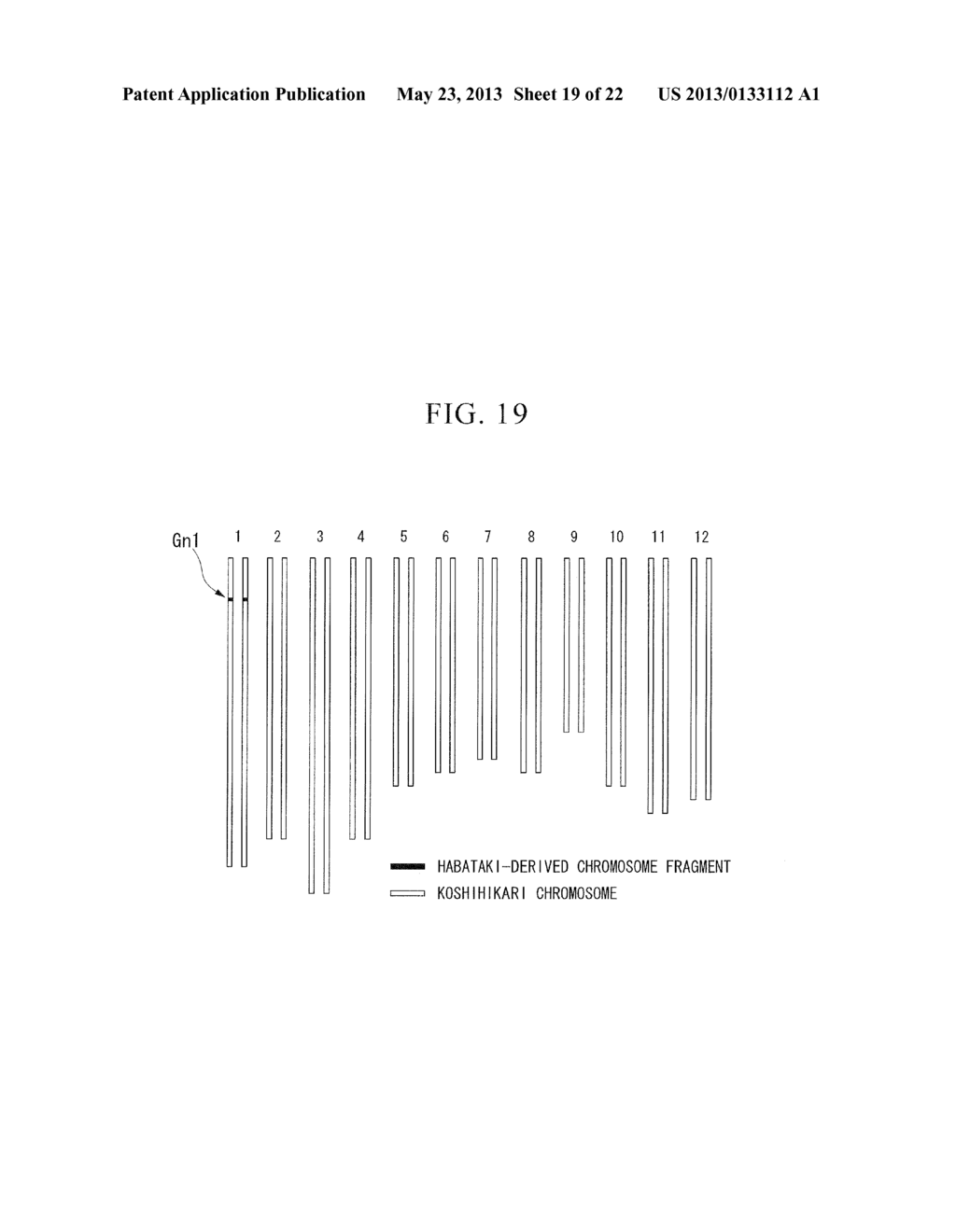 METHOD OF PLANT GENOME DESIGN, METHOD OF CREATING NEW CULTIVAR AND NEW     CULTIVAR - diagram, schematic, and image 20