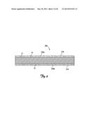 BIODEGRADABLE MATERIAL AND PLANT CONTAINER diagram and image