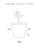 BIODEGRADABLE MATERIAL AND PLANT CONTAINER diagram and image