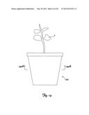 BIODEGRADABLE MATERIAL AND PLANT CONTAINER diagram and image
