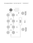 INTERNAL RINSING IN TOUCHLESS INTERSTITIAL PROCESSING diagram and image