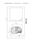 Volumetric Data Exploration Using Multi-Point Input Controls diagram and image