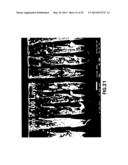 WAVE PLATE AND WAVE PLATE MANUFACTURING METHOD diagram and image