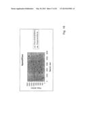 Transitional elements for the transfer of dispersions during processing in     a rotor-stator dispersion machine diagram and image