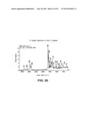 Crystal Forms of 2--Adenosine diagram and image