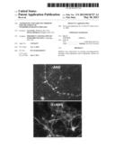 Angiogenin and Variants Thereof for Treatment of Neurodegenerative     Diseases diagram and image