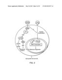 Angiogenin and Variants Thereof for Treatment of Neurodegenerative     Diseases diagram and image