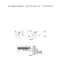 Single Domain VHH Antibodies Against Von Willebrand Factor diagram and image