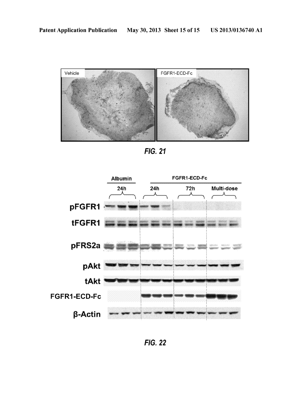 METHODS OF TREATING CANCER - diagram, schematic, and image 16