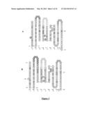 NOVEL MUTATED HUMANIZED 12G4 ANTIBODIES AND THE FRAGMENTS THEREOF AGAINST     THE HUMAN ANTI-MULLERIAN HORMONE RECEPTOR TYPE II diagram and image