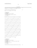 NOVEL MUTATED HUMANIZED 12G4 ANTIBODIES AND THE FRAGMENTS THEREOF AGAINST     THE HUMAN ANTI-MULLERIAN HORMONE RECEPTOR TYPE II diagram and image