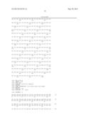 NOVEL MUTATED HUMANIZED 12G4 ANTIBODIES AND THE FRAGMENTS THEREOF AGAINST     THE HUMAN ANTI-MULLERIAN HORMONE RECEPTOR TYPE II diagram and image