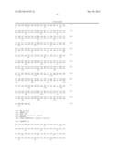 NOVEL MUTATED HUMANIZED 12G4 ANTIBODIES AND THE FRAGMENTS THEREOF AGAINST     THE HUMAN ANTI-MULLERIAN HORMONE RECEPTOR TYPE II diagram and image