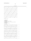 NOVEL MUTATED HUMANIZED 12G4 ANTIBODIES AND THE FRAGMENTS THEREOF AGAINST     THE HUMAN ANTI-MULLERIAN HORMONE RECEPTOR TYPE II diagram and image