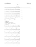 NOVEL MUTATED HUMANIZED 12G4 ANTIBODIES AND THE FRAGMENTS THEREOF AGAINST     THE HUMAN ANTI-MULLERIAN HORMONE RECEPTOR TYPE II diagram and image