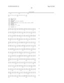 NOVEL MUTATED HUMANIZED 12G4 ANTIBODIES AND THE FRAGMENTS THEREOF AGAINST     THE HUMAN ANTI-MULLERIAN HORMONE RECEPTOR TYPE II diagram and image