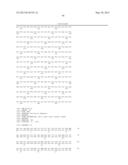 NOVEL MUTATED HUMANIZED 12G4 ANTIBODIES AND THE FRAGMENTS THEREOF AGAINST     THE HUMAN ANTI-MULLERIAN HORMONE RECEPTOR TYPE II diagram and image