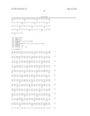 NOVEL MUTATED HUMANIZED 12G4 ANTIBODIES AND THE FRAGMENTS THEREOF AGAINST     THE HUMAN ANTI-MULLERIAN HORMONE RECEPTOR TYPE II diagram and image