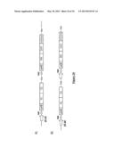 NOVEL MUTATED HUMANIZED 12G4 ANTIBODIES AND THE FRAGMENTS THEREOF AGAINST     THE HUMAN ANTI-MULLERIAN HORMONE RECEPTOR TYPE II diagram and image