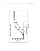 NOVEL MUTATED HUMANIZED 12G4 ANTIBODIES AND THE FRAGMENTS THEREOF AGAINST     THE HUMAN ANTI-MULLERIAN HORMONE RECEPTOR TYPE II diagram and image