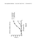 NOVEL MUTATED HUMANIZED 12G4 ANTIBODIES AND THE FRAGMENTS THEREOF AGAINST     THE HUMAN ANTI-MULLERIAN HORMONE RECEPTOR TYPE II diagram and image