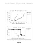 NOVEL MUTATED HUMANIZED 12G4 ANTIBODIES AND THE FRAGMENTS THEREOF AGAINST     THE HUMAN ANTI-MULLERIAN HORMONE RECEPTOR TYPE II diagram and image