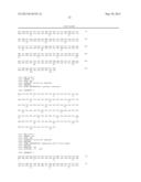 NOVEL MUTATED HUMANIZED 12G4 ANTIBODIES AND THE FRAGMENTS THEREOF AGAINST     THE HUMAN ANTI-MULLERIAN HORMONE RECEPTOR TYPE II diagram and image