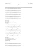 NOVEL MUTATED HUMANIZED 12G4 ANTIBODIES AND THE FRAGMENTS THEREOF AGAINST     THE HUMAN ANTI-MULLERIAN HORMONE RECEPTOR TYPE II diagram and image