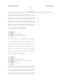 NOVEL MUTATED HUMANIZED 12G4 ANTIBODIES AND THE FRAGMENTS THEREOF AGAINST     THE HUMAN ANTI-MULLERIAN HORMONE RECEPTOR TYPE II diagram and image