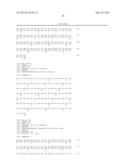 NOVEL MUTATED HUMANIZED 12G4 ANTIBODIES AND THE FRAGMENTS THEREOF AGAINST     THE HUMAN ANTI-MULLERIAN HORMONE RECEPTOR TYPE II diagram and image