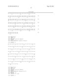 NOVEL MUTATED HUMANIZED 12G4 ANTIBODIES AND THE FRAGMENTS THEREOF AGAINST     THE HUMAN ANTI-MULLERIAN HORMONE RECEPTOR TYPE II diagram and image