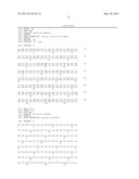 NOVEL MUTATED HUMANIZED 12G4 ANTIBODIES AND THE FRAGMENTS THEREOF AGAINST     THE HUMAN ANTI-MULLERIAN HORMONE RECEPTOR TYPE II diagram and image