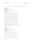 NOVEL MUTATED HUMANIZED 12G4 ANTIBODIES AND THE FRAGMENTS THEREOF AGAINST     THE HUMAN ANTI-MULLERIAN HORMONE RECEPTOR TYPE II diagram and image