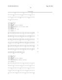 NOVEL MUTATED HUMANIZED 12G4 ANTIBODIES AND THE FRAGMENTS THEREOF AGAINST     THE HUMAN ANTI-MULLERIAN HORMONE RECEPTOR TYPE II diagram and image