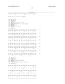 NOVEL MUTATED HUMANIZED 12G4 ANTIBODIES AND THE FRAGMENTS THEREOF AGAINST     THE HUMAN ANTI-MULLERIAN HORMONE RECEPTOR TYPE II diagram and image