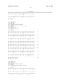 NOVEL MUTATED HUMANIZED 12G4 ANTIBODIES AND THE FRAGMENTS THEREOF AGAINST     THE HUMAN ANTI-MULLERIAN HORMONE RECEPTOR TYPE II diagram and image