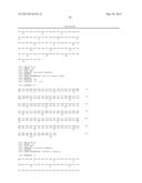 NOVEL MUTATED HUMANIZED 12G4 ANTIBODIES AND THE FRAGMENTS THEREOF AGAINST     THE HUMAN ANTI-MULLERIAN HORMONE RECEPTOR TYPE II diagram and image