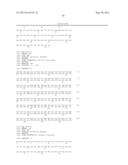 NOVEL MUTATED HUMANIZED 12G4 ANTIBODIES AND THE FRAGMENTS THEREOF AGAINST     THE HUMAN ANTI-MULLERIAN HORMONE RECEPTOR TYPE II diagram and image