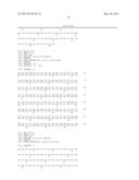 NOVEL MUTATED HUMANIZED 12G4 ANTIBODIES AND THE FRAGMENTS THEREOF AGAINST     THE HUMAN ANTI-MULLERIAN HORMONE RECEPTOR TYPE II diagram and image