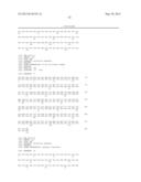 NOVEL MUTATED HUMANIZED 12G4 ANTIBODIES AND THE FRAGMENTS THEREOF AGAINST     THE HUMAN ANTI-MULLERIAN HORMONE RECEPTOR TYPE II diagram and image