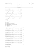 NOVEL MUTATED HUMANIZED 12G4 ANTIBODIES AND THE FRAGMENTS THEREOF AGAINST     THE HUMAN ANTI-MULLERIAN HORMONE RECEPTOR TYPE II diagram and image