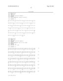 NOVEL MUTATED HUMANIZED 12G4 ANTIBODIES AND THE FRAGMENTS THEREOF AGAINST     THE HUMAN ANTI-MULLERIAN HORMONE RECEPTOR TYPE II diagram and image