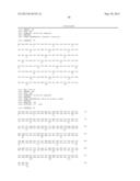 NOVEL MUTATED HUMANIZED 12G4 ANTIBODIES AND THE FRAGMENTS THEREOF AGAINST     THE HUMAN ANTI-MULLERIAN HORMONE RECEPTOR TYPE II diagram and image