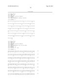 NOVEL MUTATED HUMANIZED 12G4 ANTIBODIES AND THE FRAGMENTS THEREOF AGAINST     THE HUMAN ANTI-MULLERIAN HORMONE RECEPTOR TYPE II diagram and image