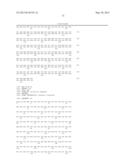 NOVEL MUTATED HUMANIZED 12G4 ANTIBODIES AND THE FRAGMENTS THEREOF AGAINST     THE HUMAN ANTI-MULLERIAN HORMONE RECEPTOR TYPE II diagram and image