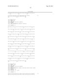 NOVEL MUTATED HUMANIZED 12G4 ANTIBODIES AND THE FRAGMENTS THEREOF AGAINST     THE HUMAN ANTI-MULLERIAN HORMONE RECEPTOR TYPE II diagram and image